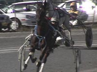 horserace.jpg